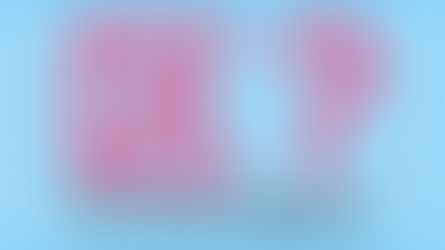 移住するとよく聞く「区・区長・班長」って何?困ったときに頼れる!地域自治の仕組み