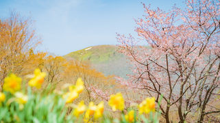 みなかみNOW!〜2026年4月号〜地域の暮らしを知る、移住情報マガジン
