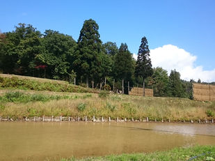 The Snow Country Region