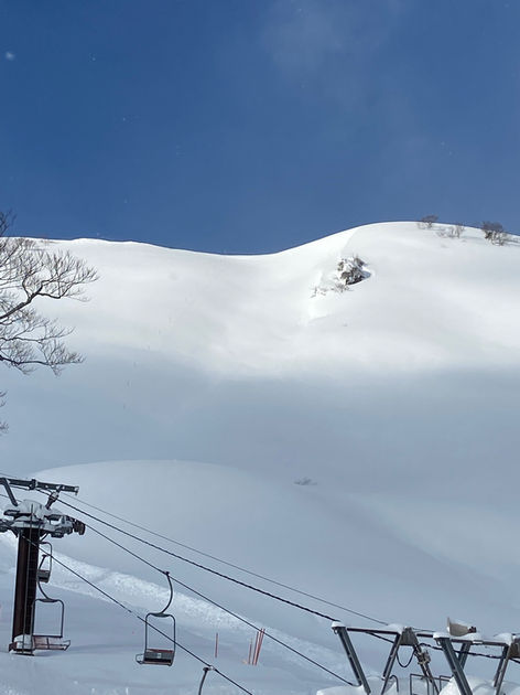 IMG_5979 - KUMI YAMANAKA.JPG