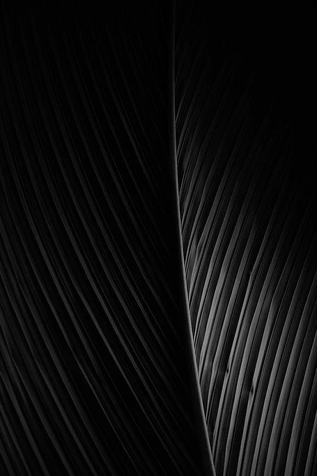 image-3.png