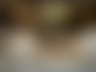 Fiesta de fin de año 2018