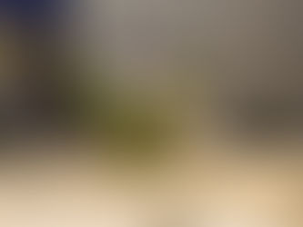 FIESTA DE FIN DE AÑO 2021 - AIU