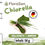 Miniaturbild: Chlorella