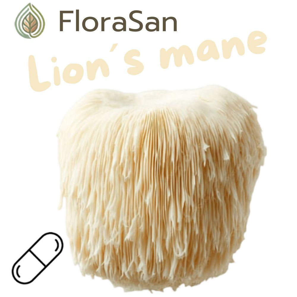Lion´s mane