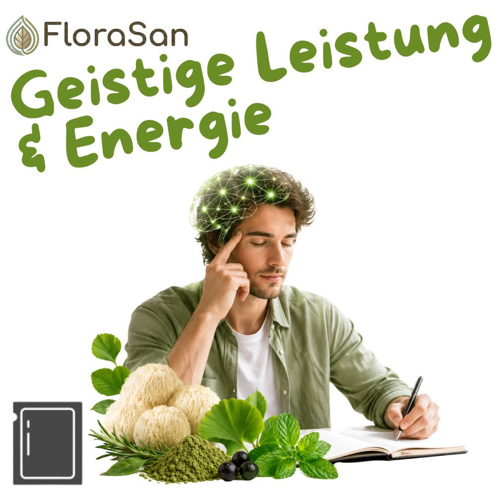Geistige Leistung & Energie