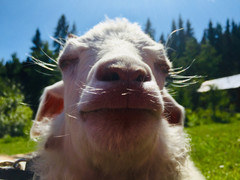 43E40425-AA06-4D1F-88E0-89907A870655.jpeg