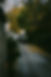 IMG-7106.JPG