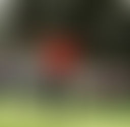 Tiger Woods: The Return To Glory