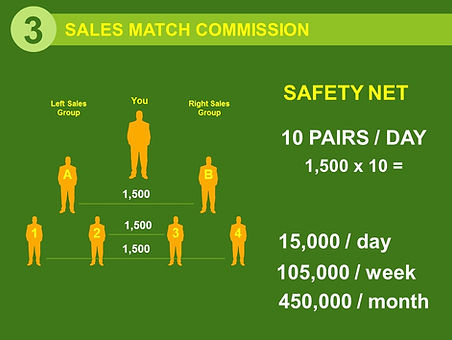 Sales Match Commission