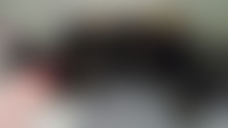 12 Ways to Reduce Stress for Shelter Cats