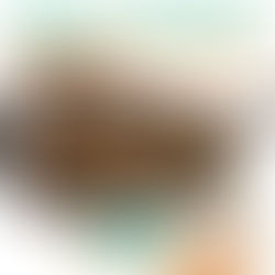 Cat Reintroductions - Why & when you should do it