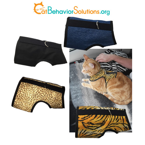 Kitty Holster Cat Harness catbehavior