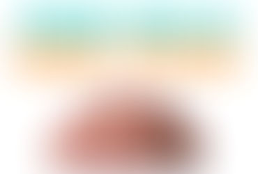 Feeding Your Cat Raw Food