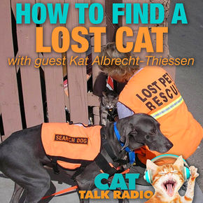 Finding a Lost Cat