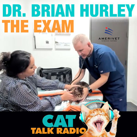 The Vet Exam
