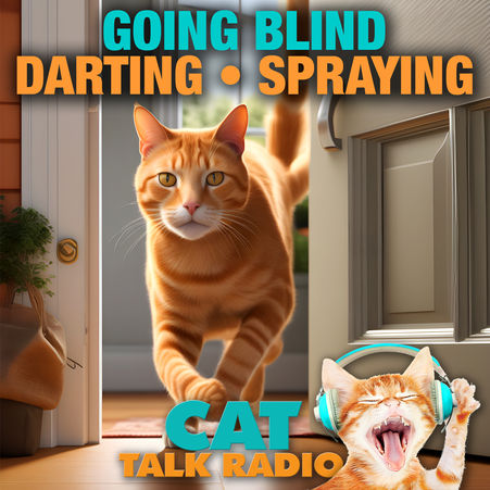 Going Blind • Spraying • Door Dashing