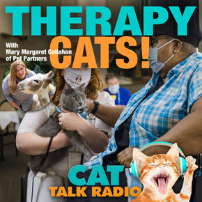 Emotional Support Cats