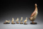 Ducklings with Walk the Walk