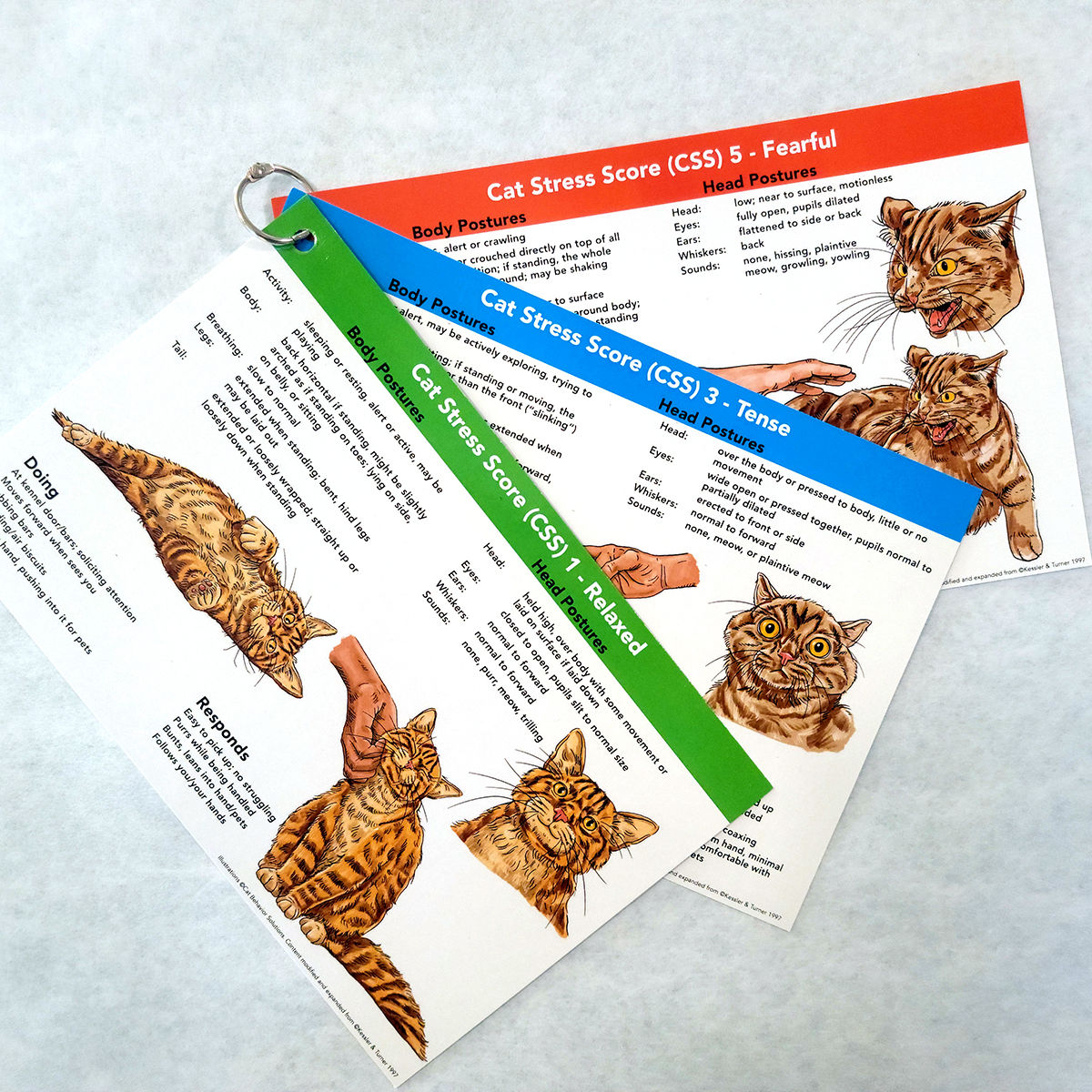 Cat Stress Score (CSS) Cards - Set of 3 cards/6 pages