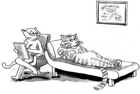 Cat behavior consultant shares tips on scratching, litter box issues, clicker training, enrichment, and introducing new cats.