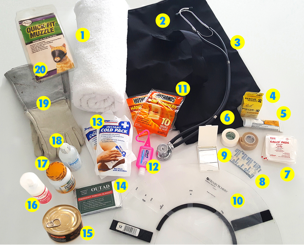 Feline first aid kit XyonPaw