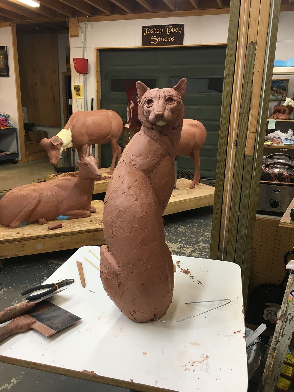 Life size Bobcat Commission
