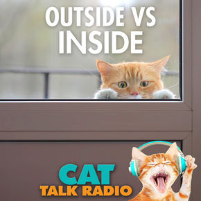 Cats: Outside vs Inside