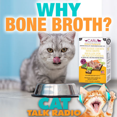 Why Bone Broth?
