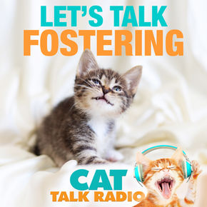 Let's Talk Fostering