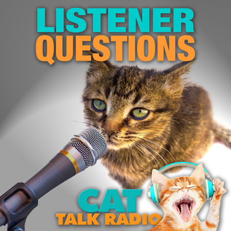 Listener Questions