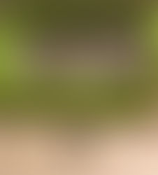 "Going" Outside the Box