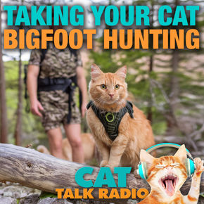 Bigfoot Hunting With Your Cat!