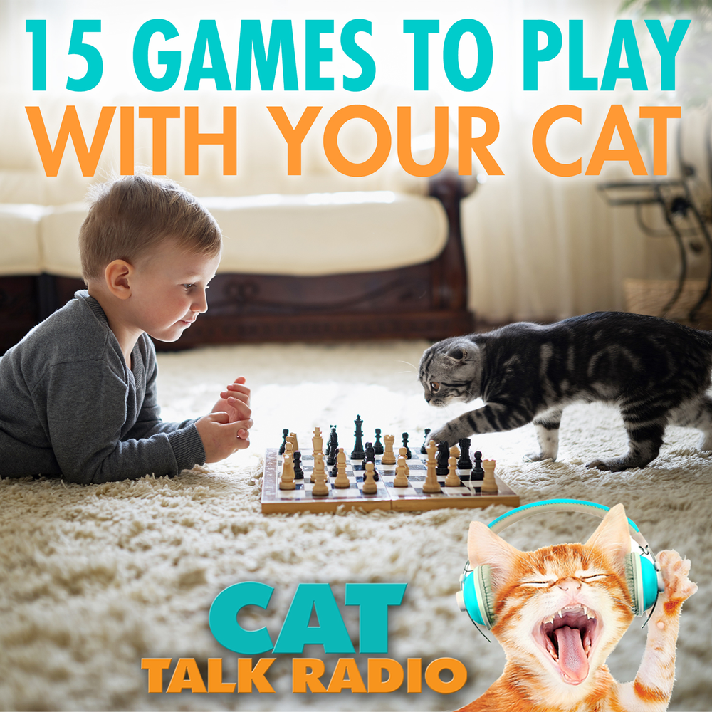 15 Games to Play With Your Cat