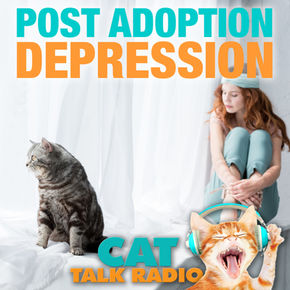 Post Adoption Depression