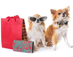 dog shop.jpg