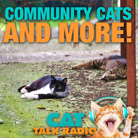 Community Cats Podcast + Cat Talk Radio
