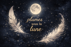 Plumes sous la Lune