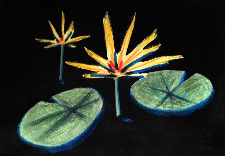 lotus