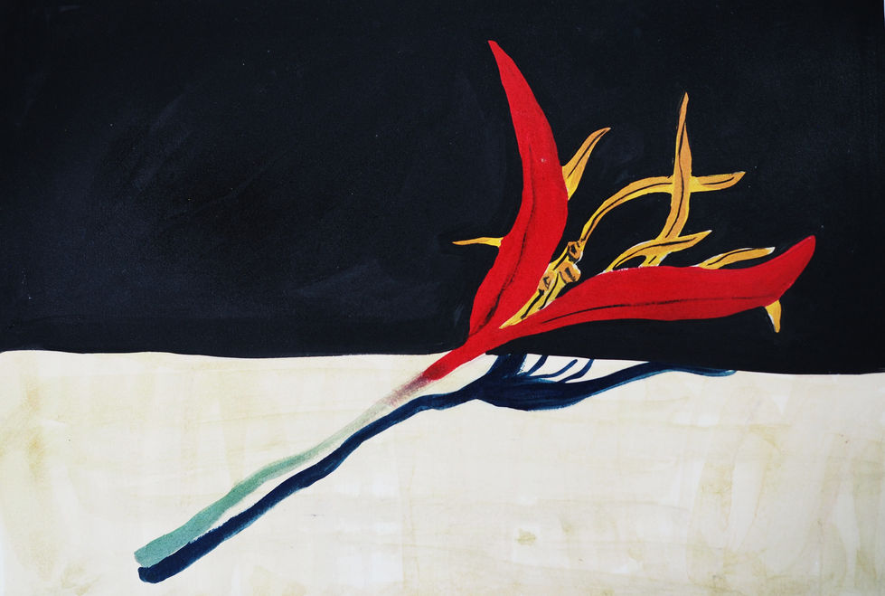 heliconia (2)