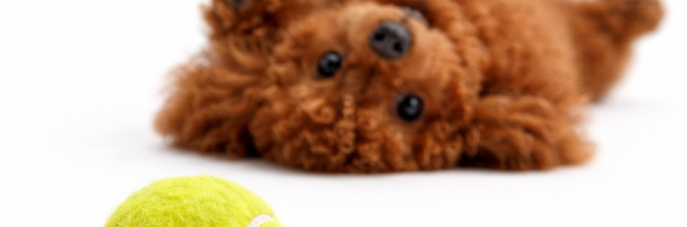 32C5E223-3A73-4CCD-B89C-695DE5B66872.png