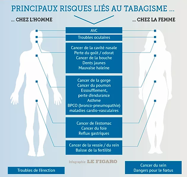 WEB_201744_tabagisme_degats.webp