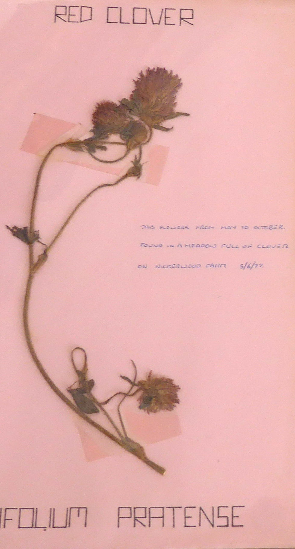 F4A_1