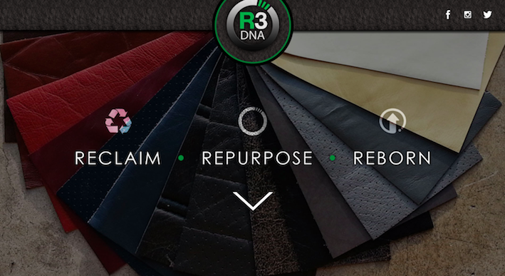 R3DNA