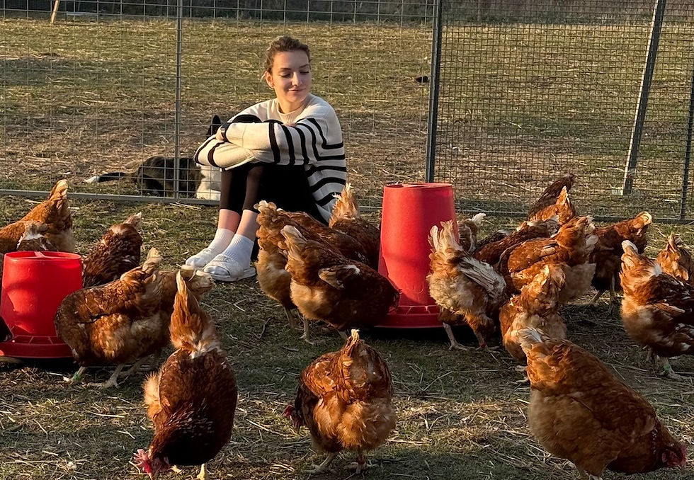 Nikola a její slepičky