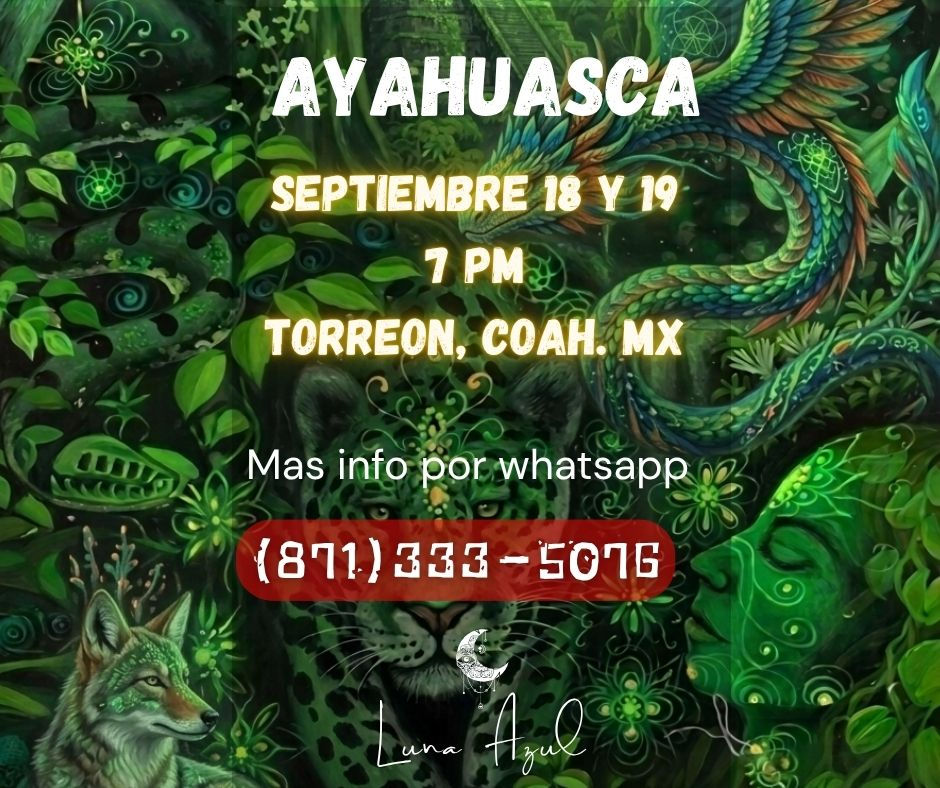 Ceremonia De Ayahuasca (Yage) Viernes