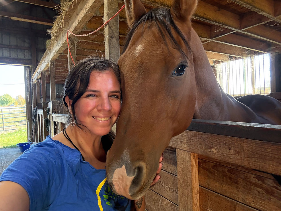 Breathing with Horses: A Journey of Freedom and Reconnection