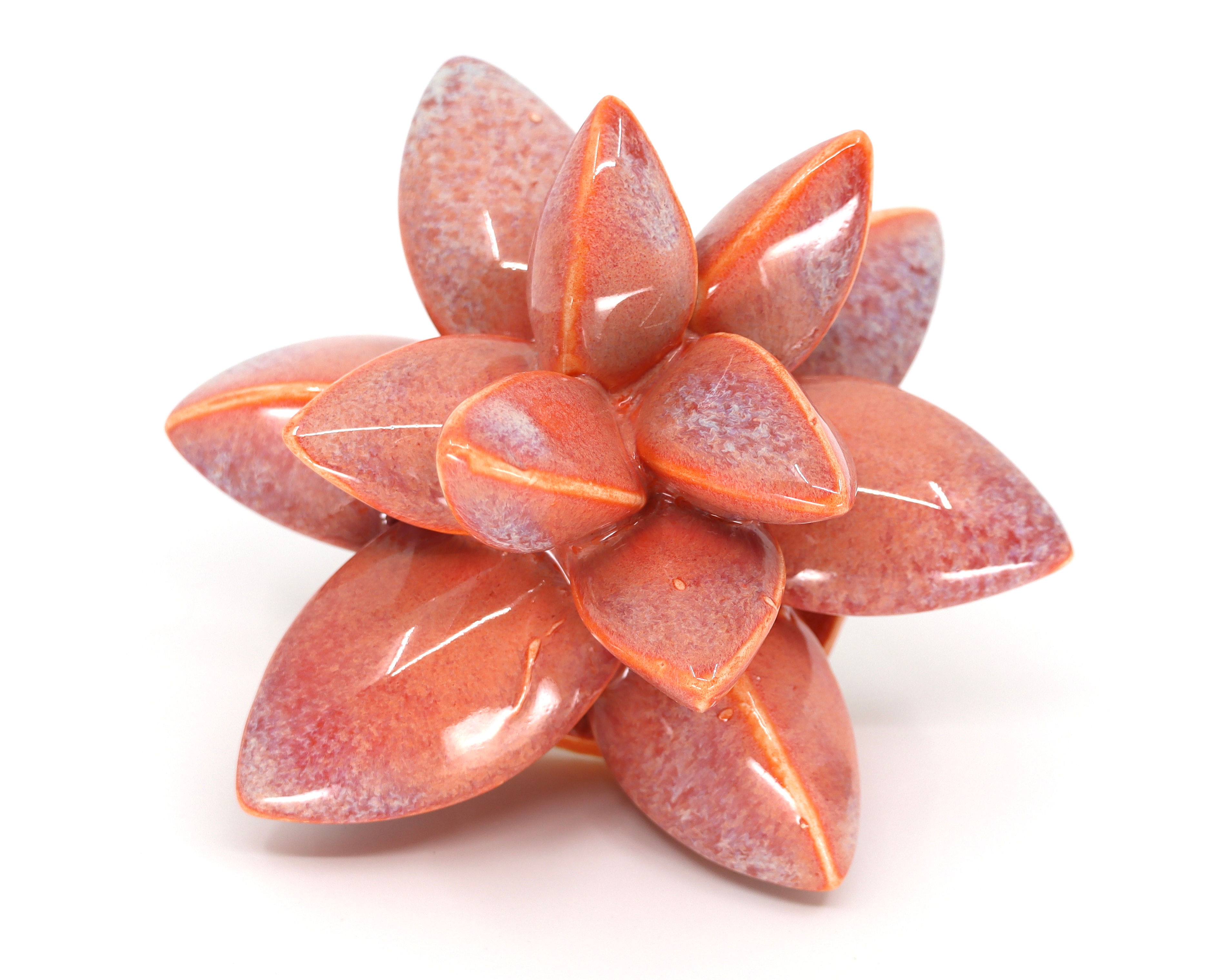 Small Wallflower