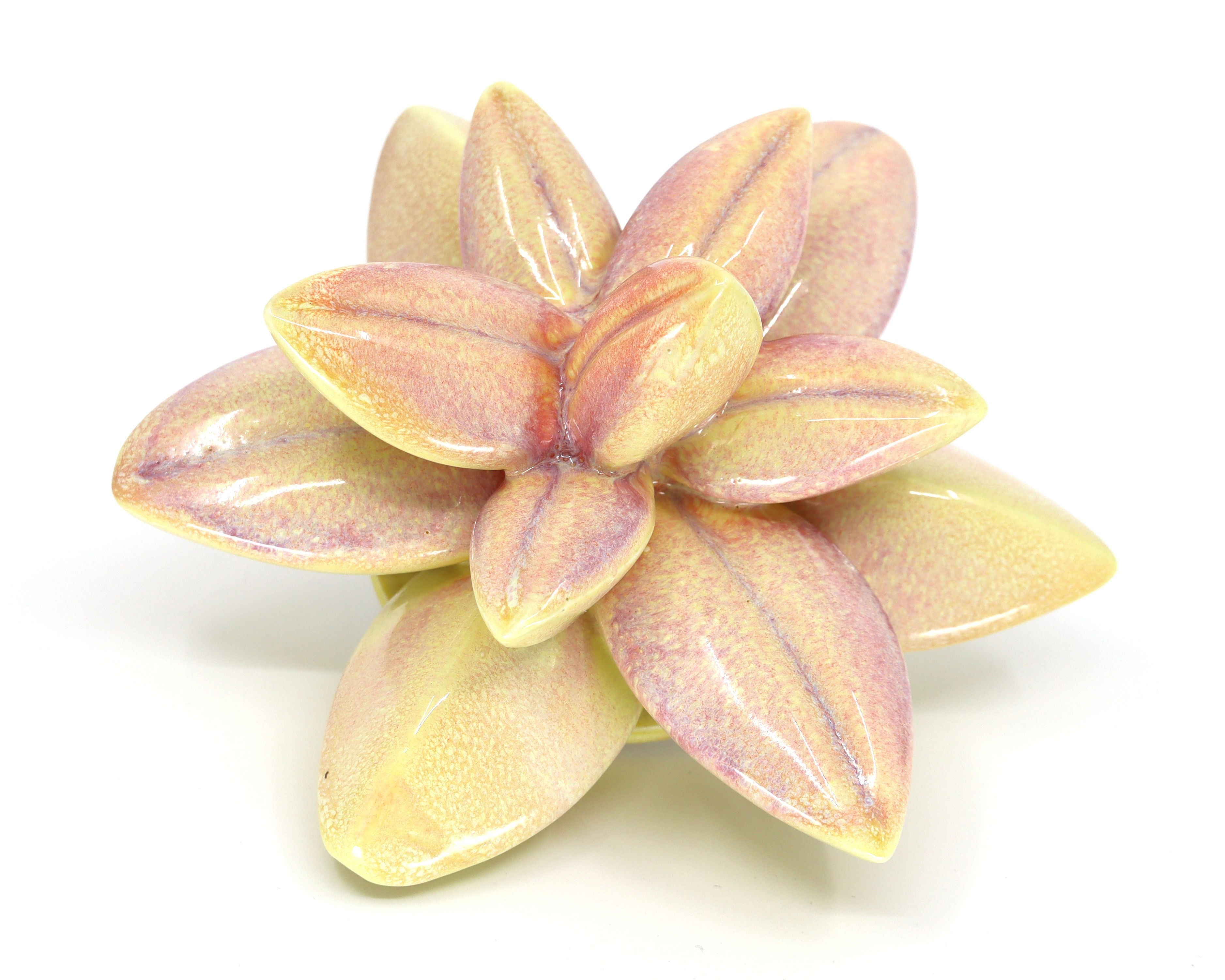 Split-Leaf Wallflower