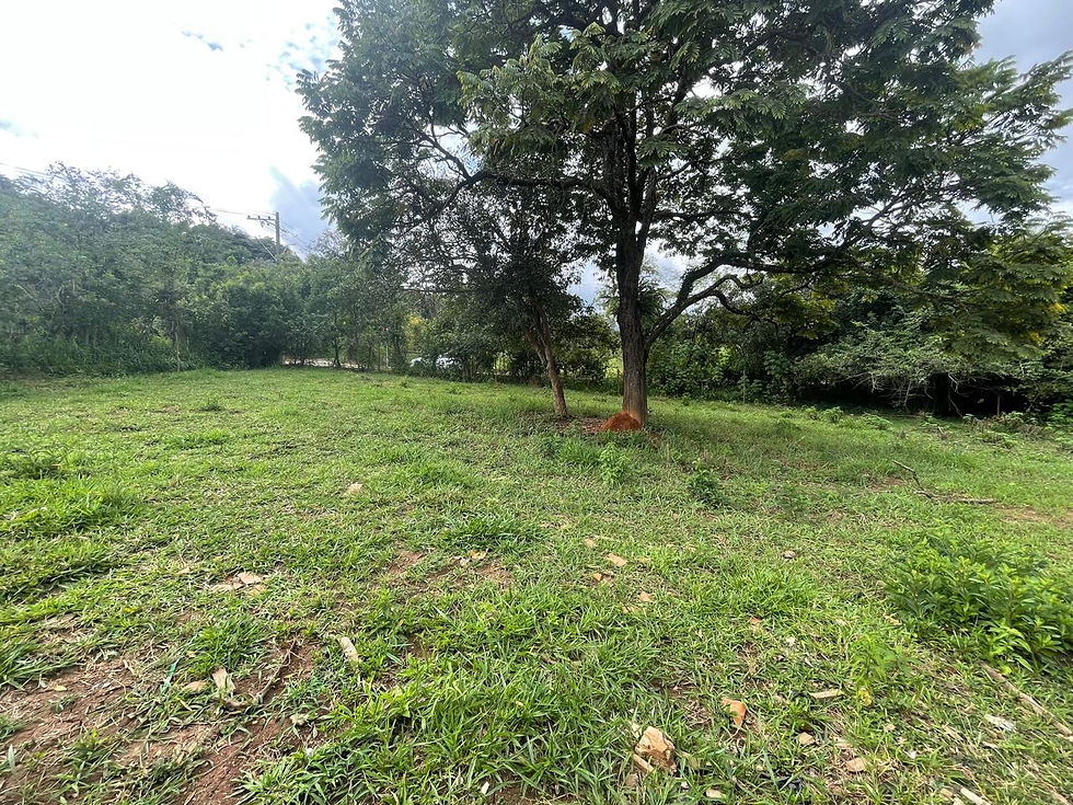 Miniatura: CINCO LOTES A VENDA  EM SAO JOAQUIM DE BICAS - MG